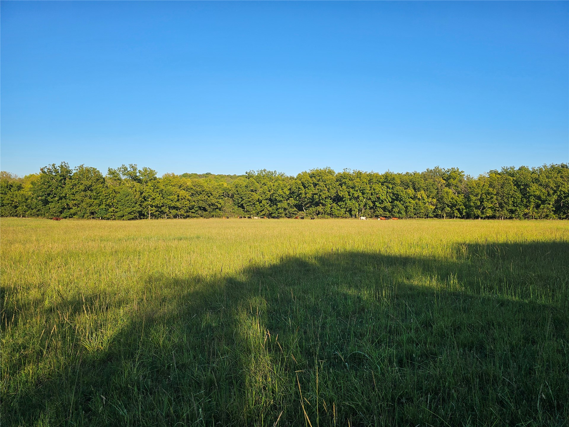 18402 E 335 Road Property Photo 40