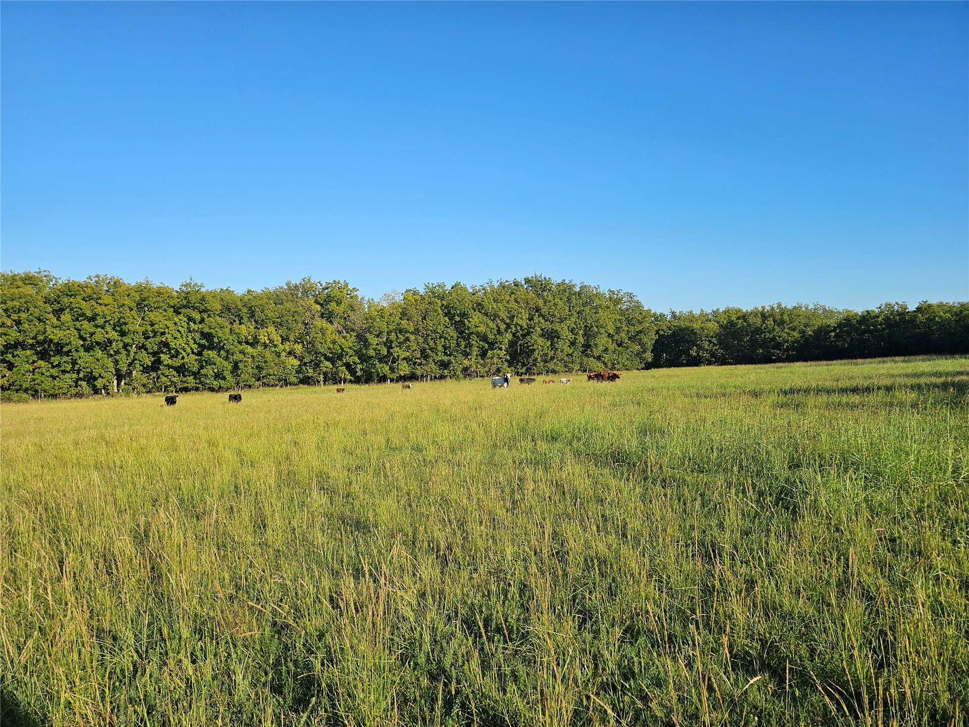 18402 E 335 Road Property Photo 42