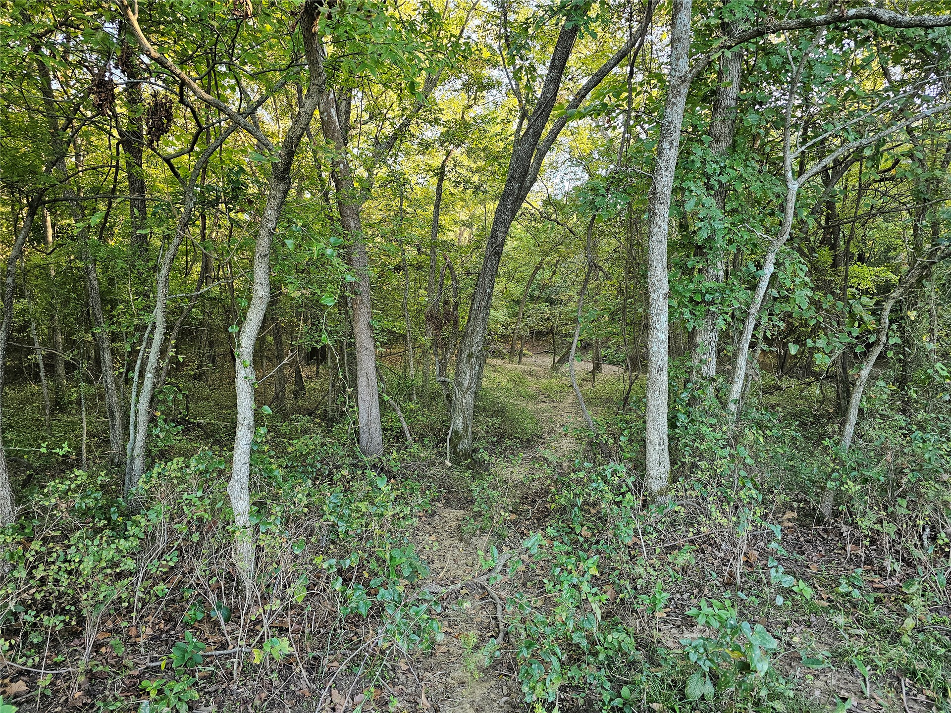 18402 E 335 Road Property Photo 47