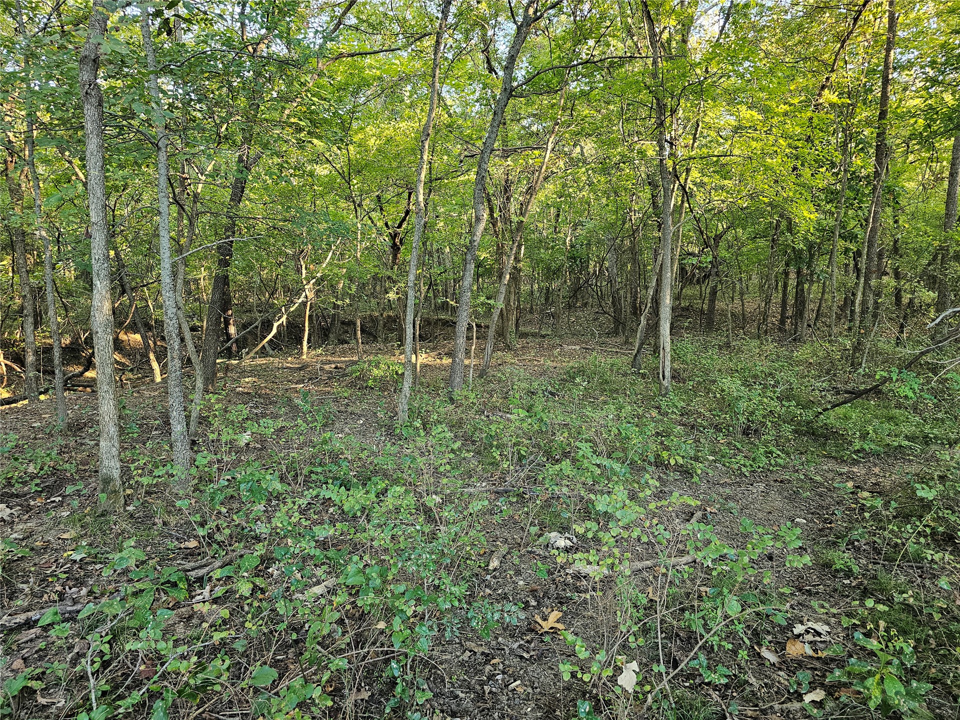 18402 E 335 Road Property Photo 48