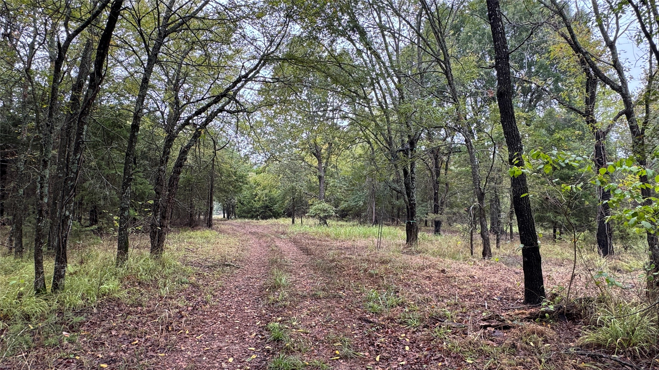 4210 Road Property Photo 16