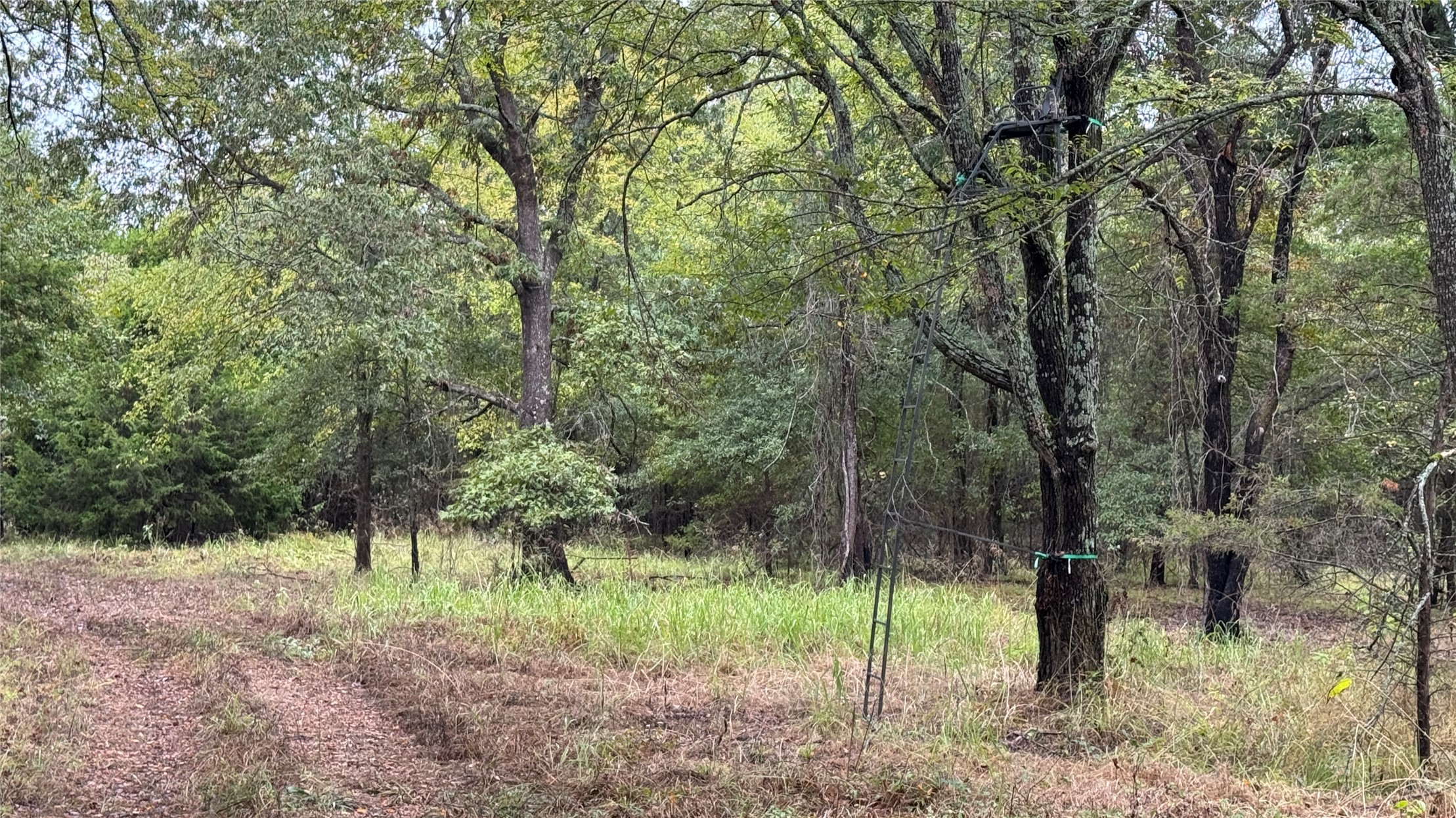 4210 Road Property Photo 17
