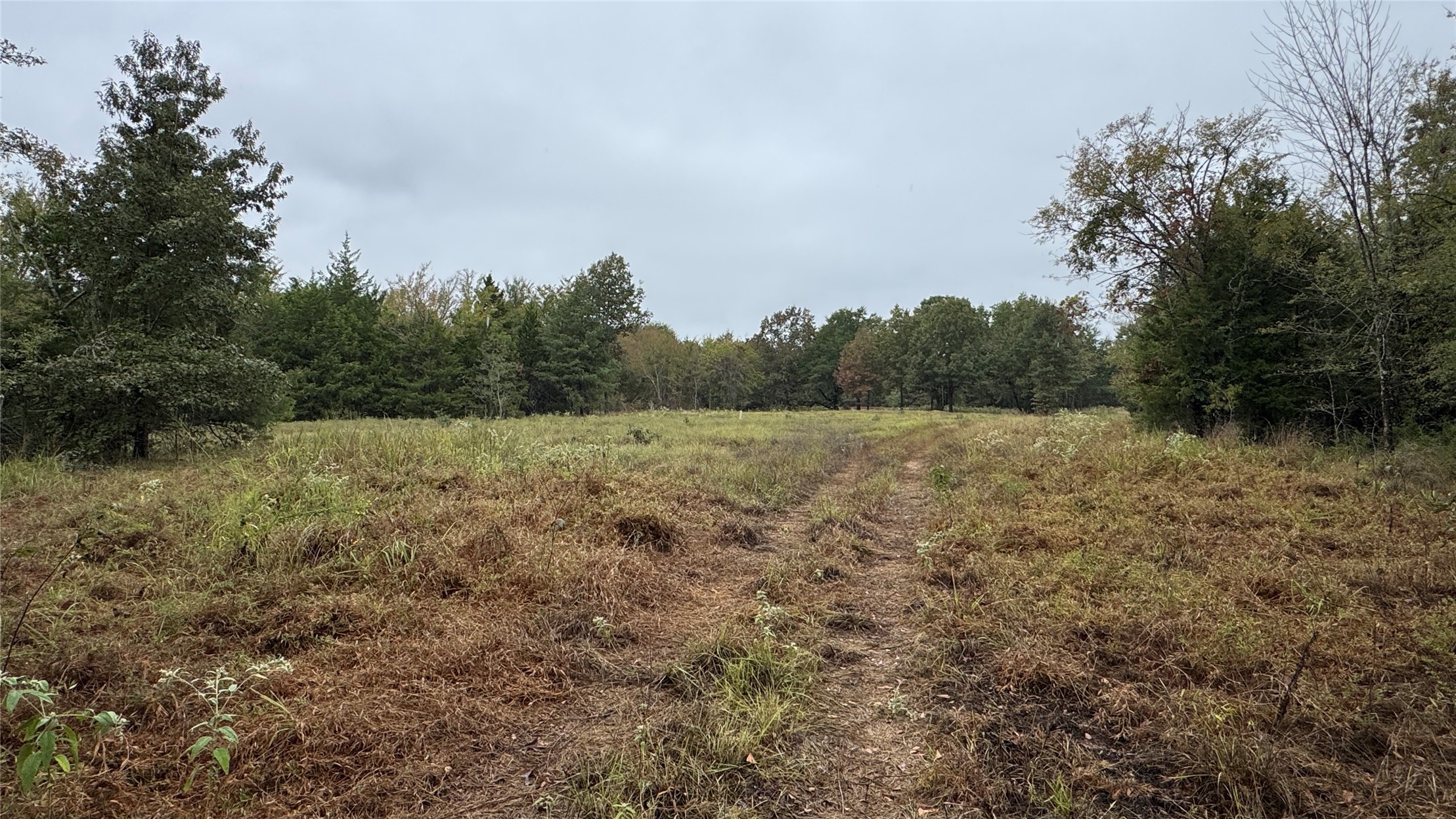 4210 Road Property Photo 18