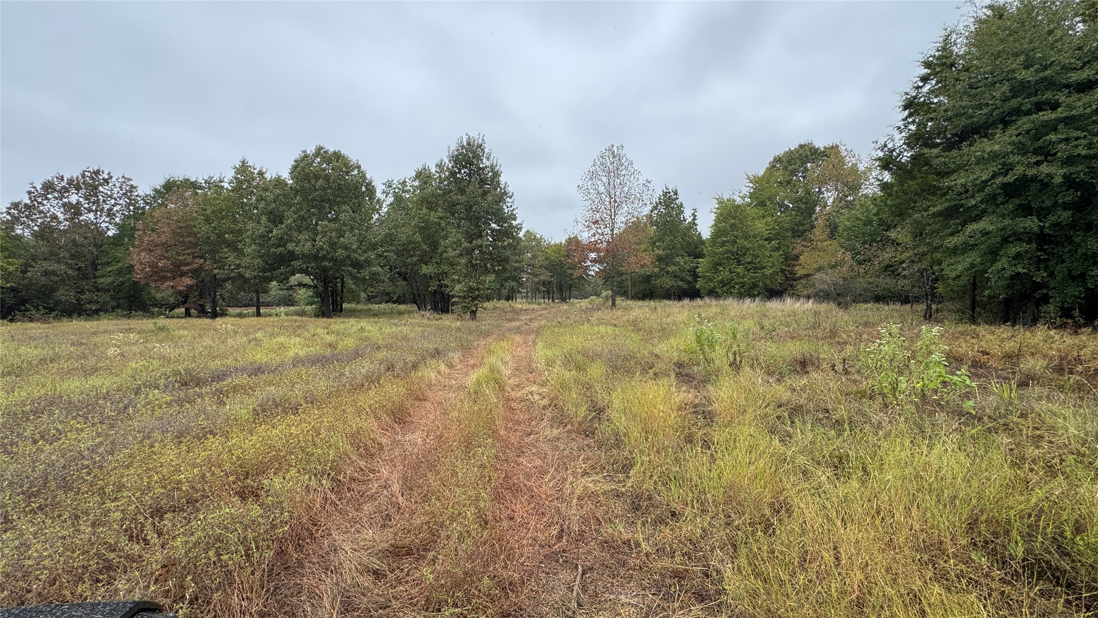 4210 Road Property Photo 19