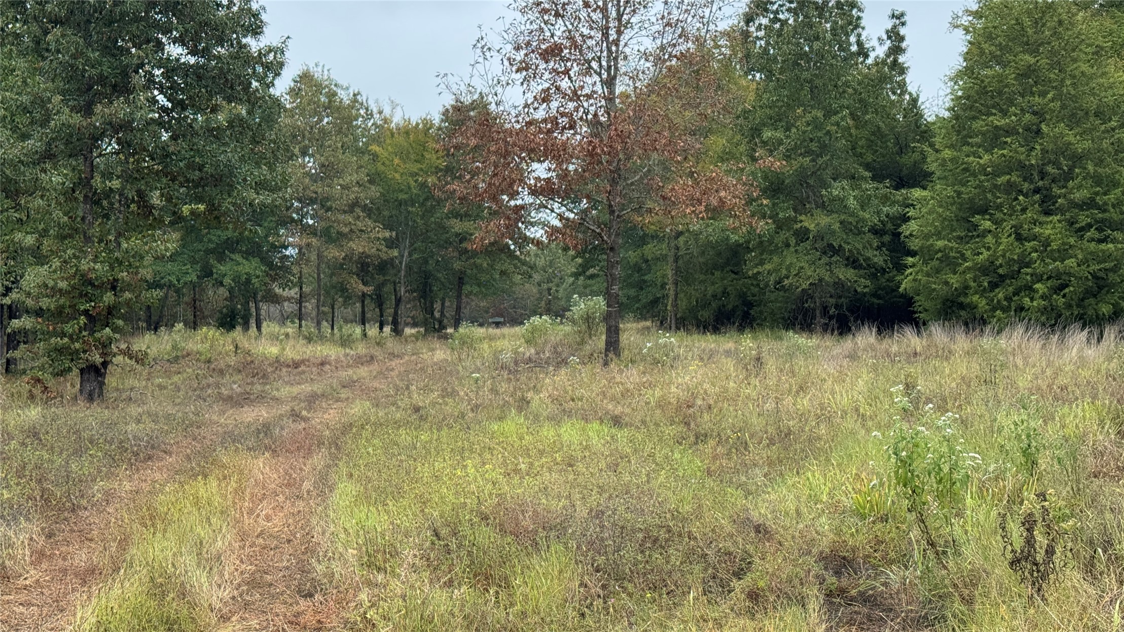 4210 Road Property Photo 20
