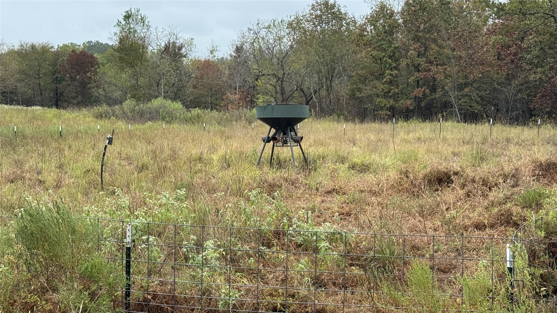 4210 Road Property Photo 22