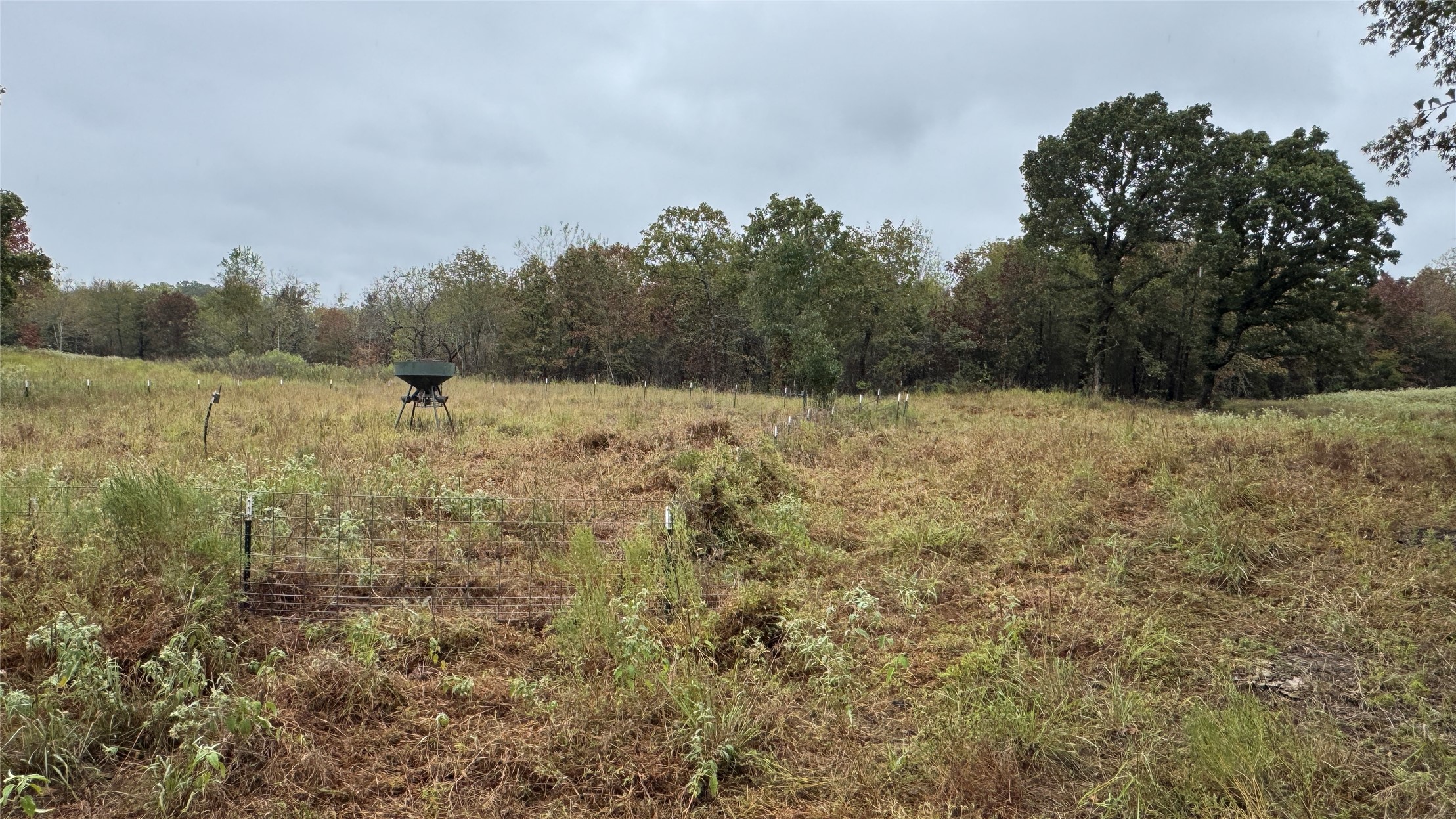 4210 Road Property Photo 23