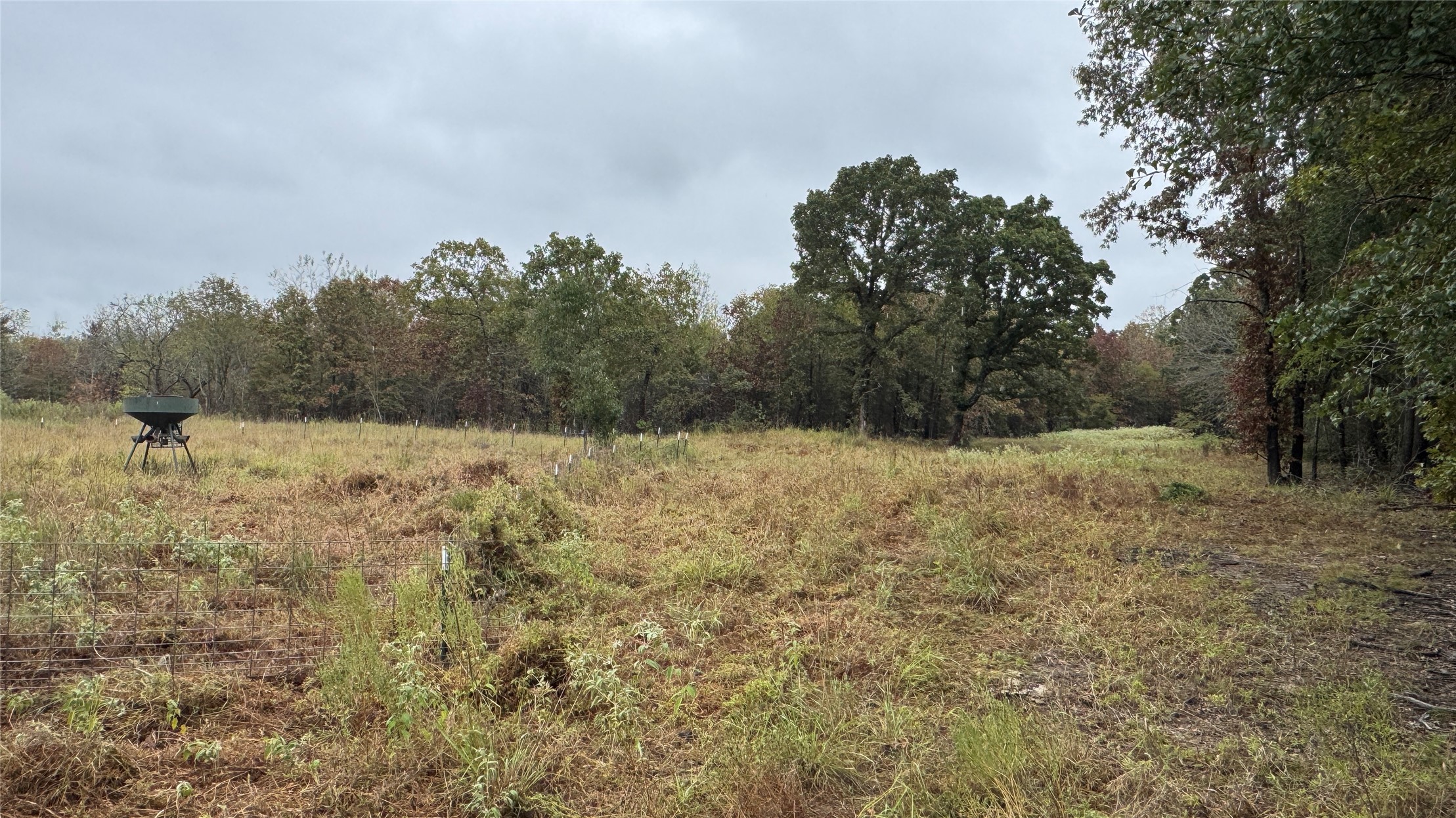 4210 Road Property Photo 24