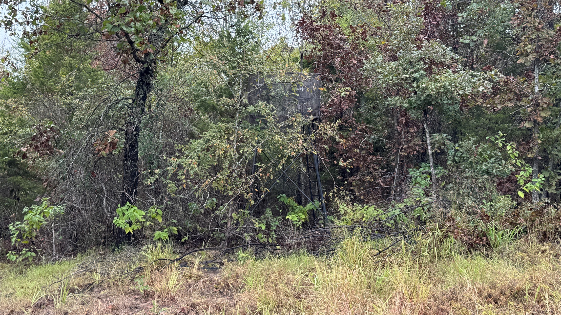 4210 Road Property Photo 25