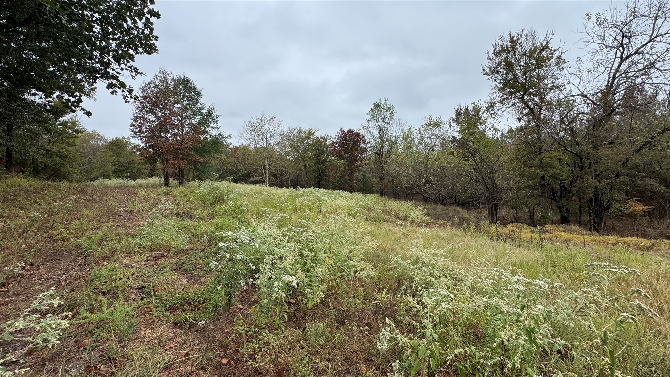 4210 Road Property Photo 26