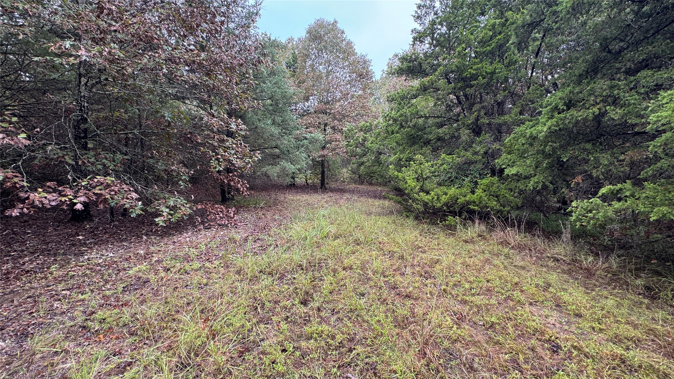 4210 Road Property Photo 27