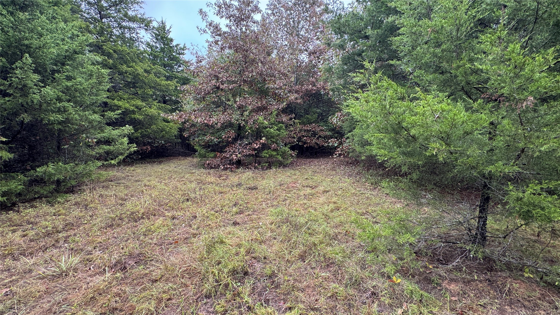 4210 Road Property Photo 28
