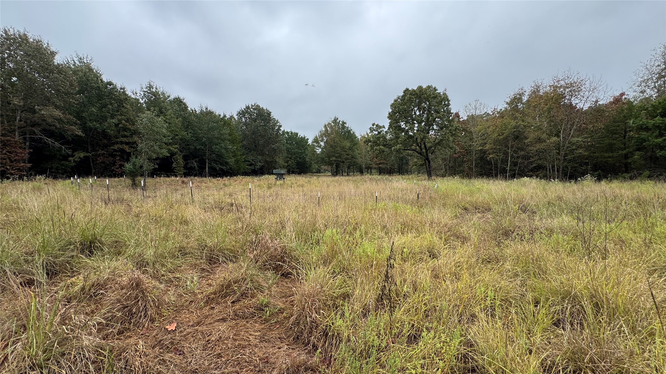 4210 Road Property Photo 29