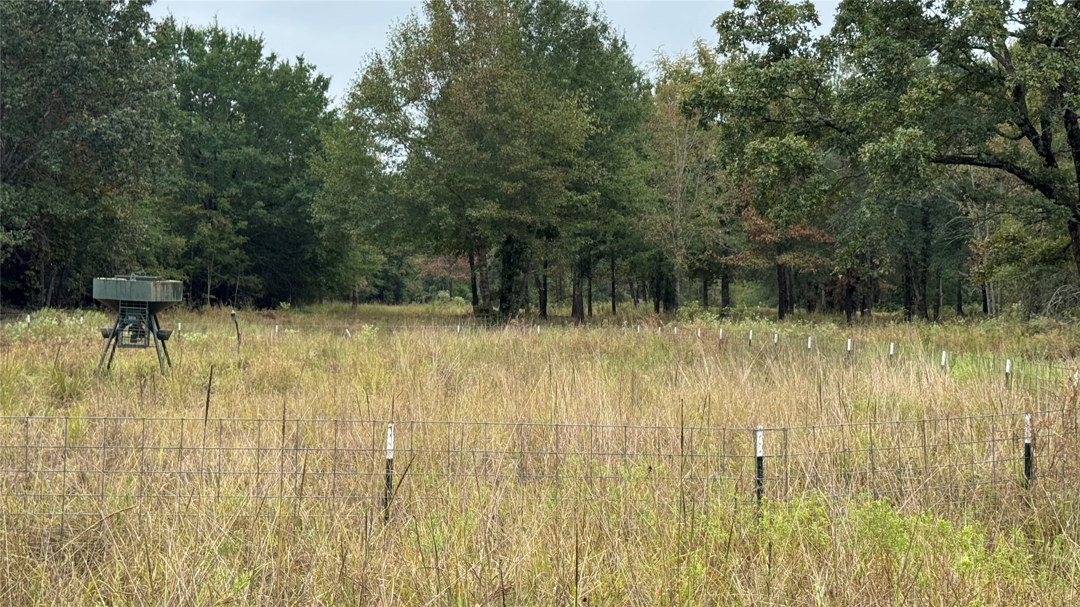 4210 Road Property Photo 30