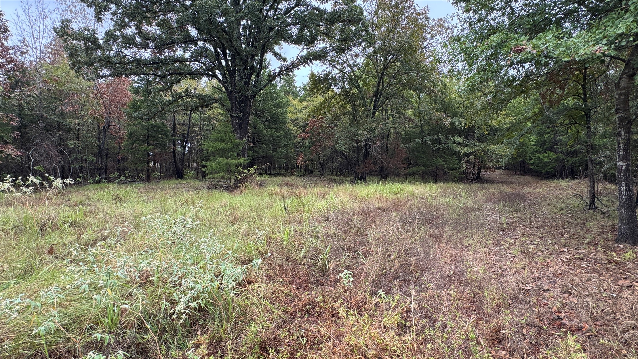 4210 Road Property Photo 31