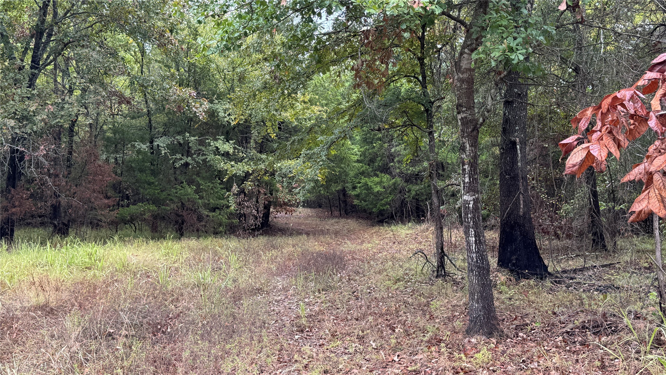 4210 Road Property Photo 32