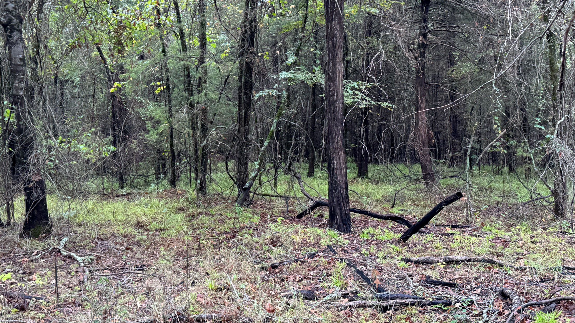 4210 Road Property Photo 33