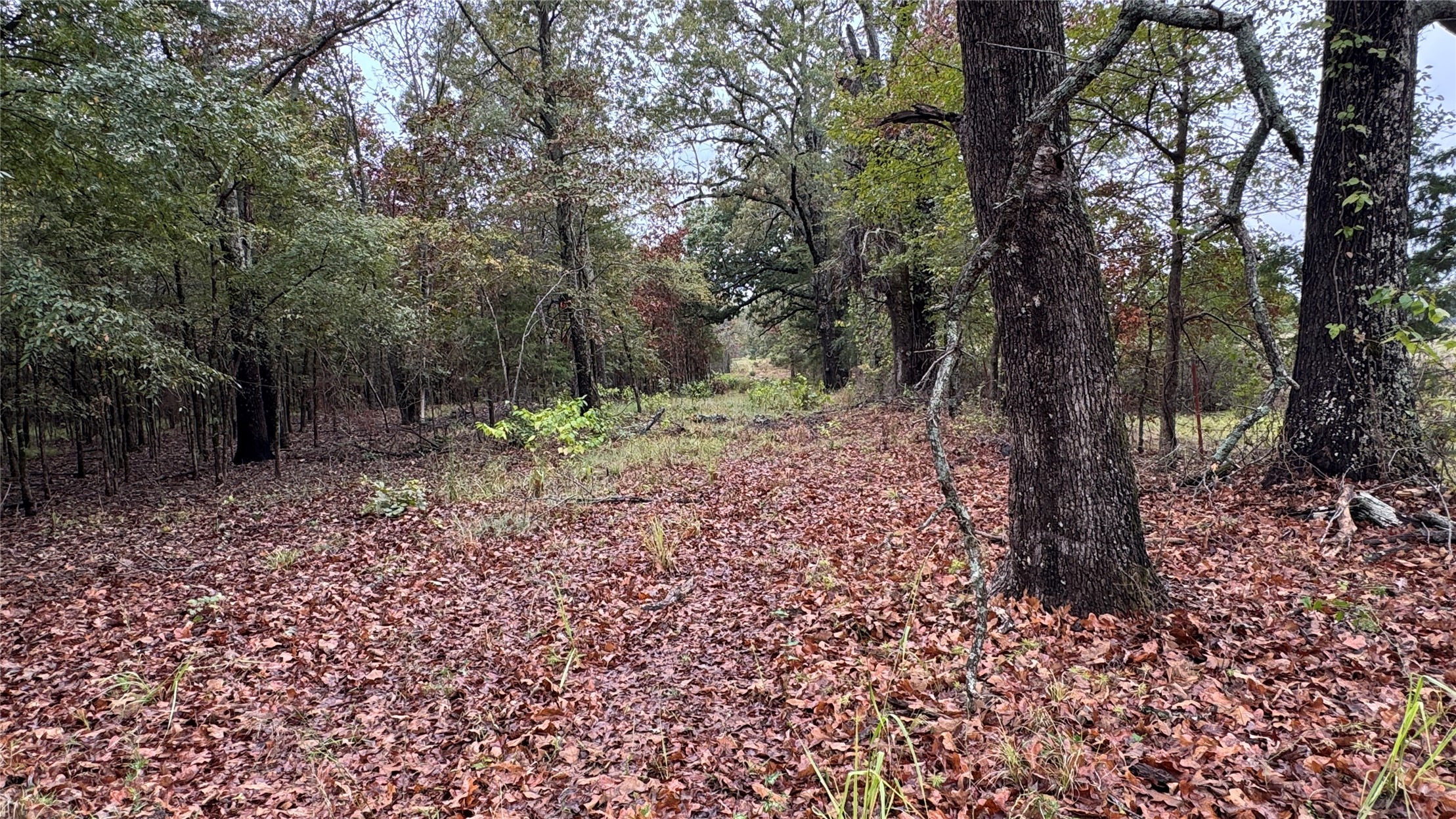 4210 Road Property Photo 35