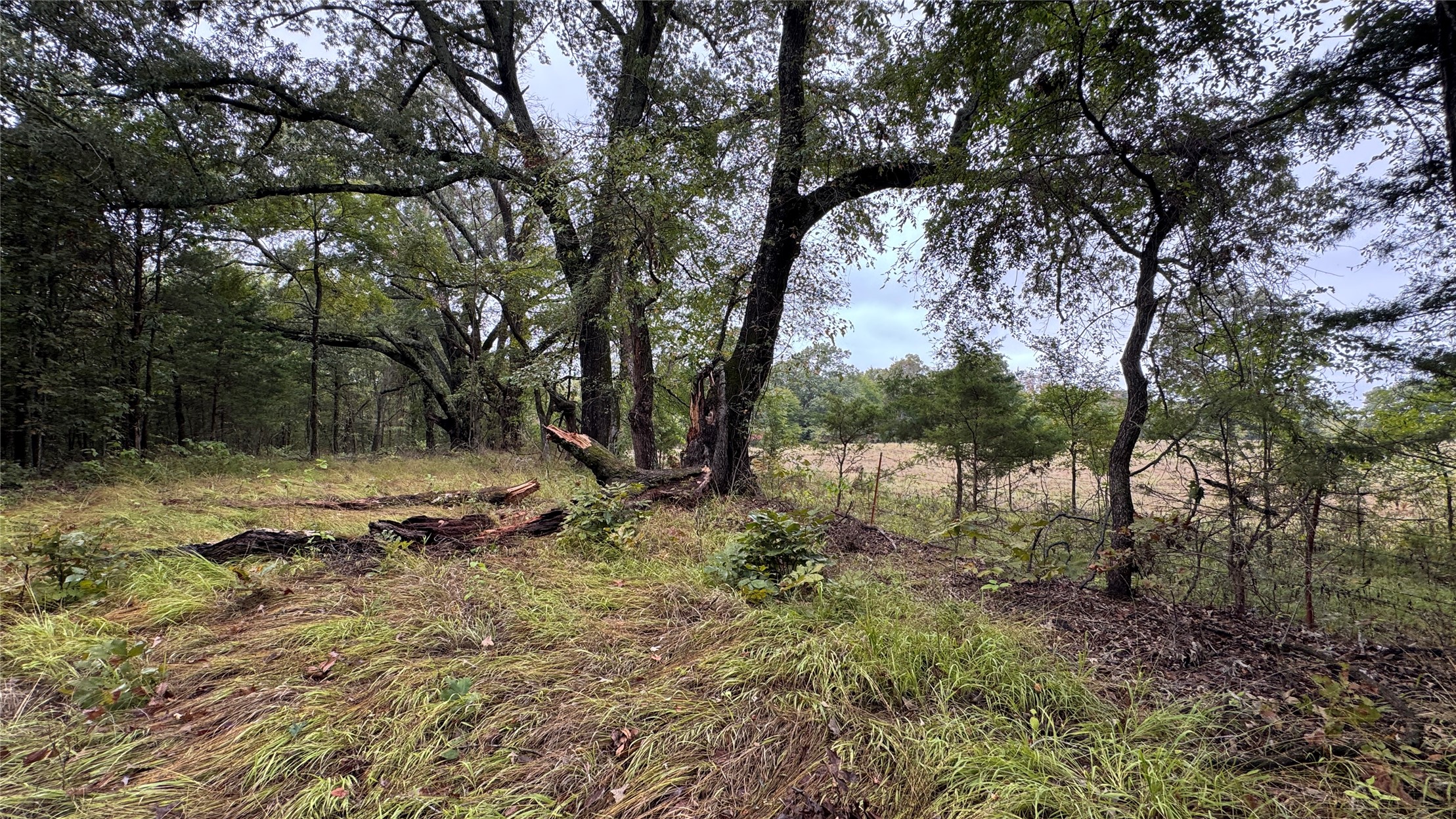 4210 Road Property Photo 41