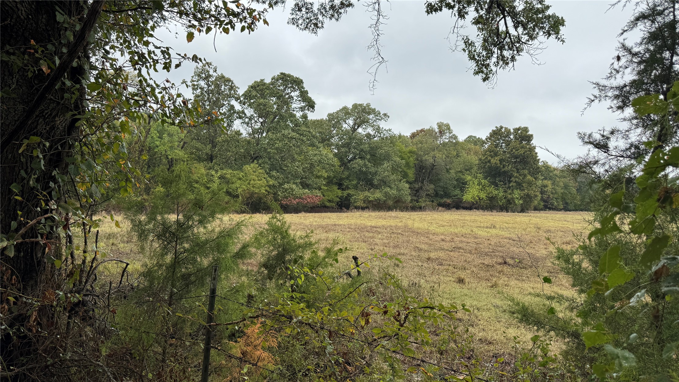4210 Road Property Photo 43