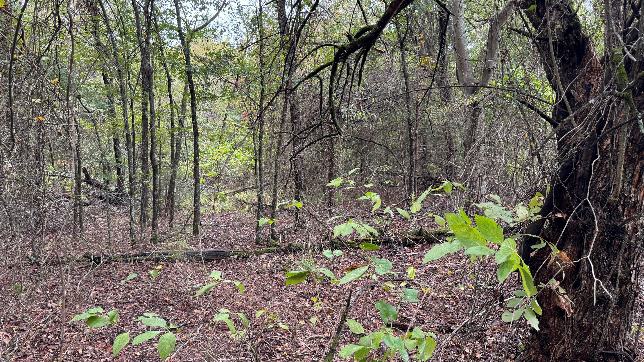 4210 Road Property Photo 45