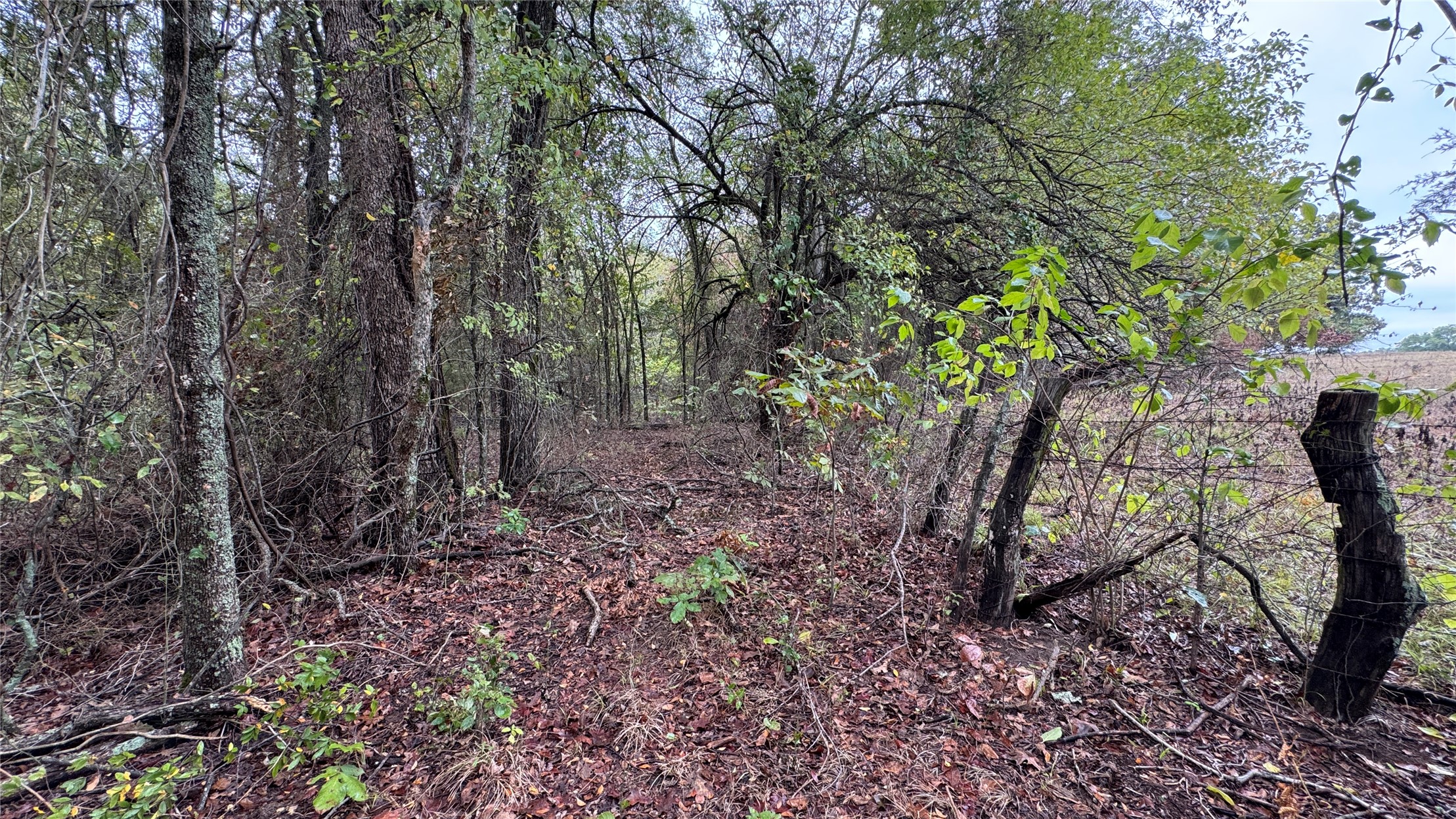 4210 Road Property Photo 46