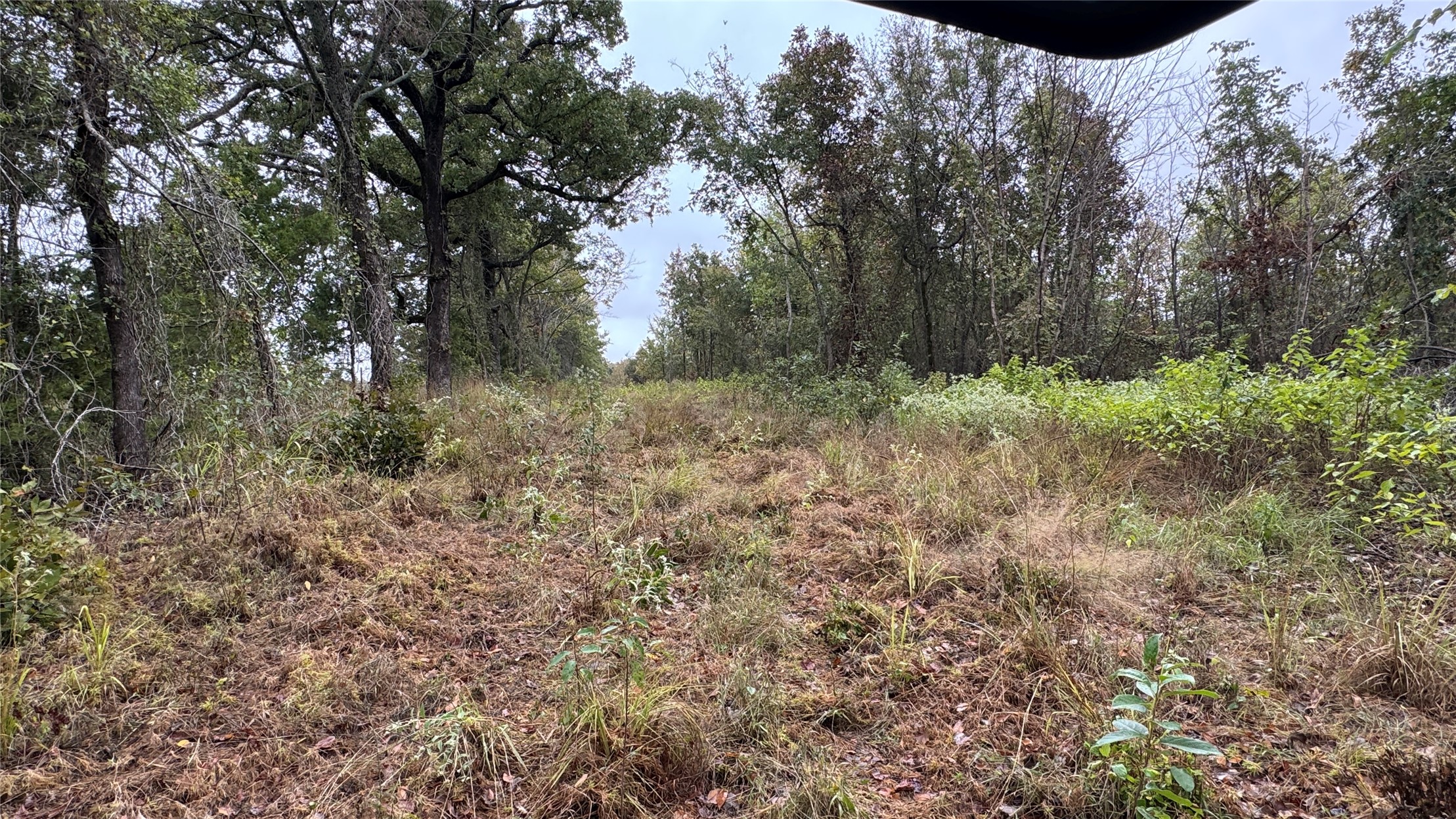 4210 Road Property Photo 48