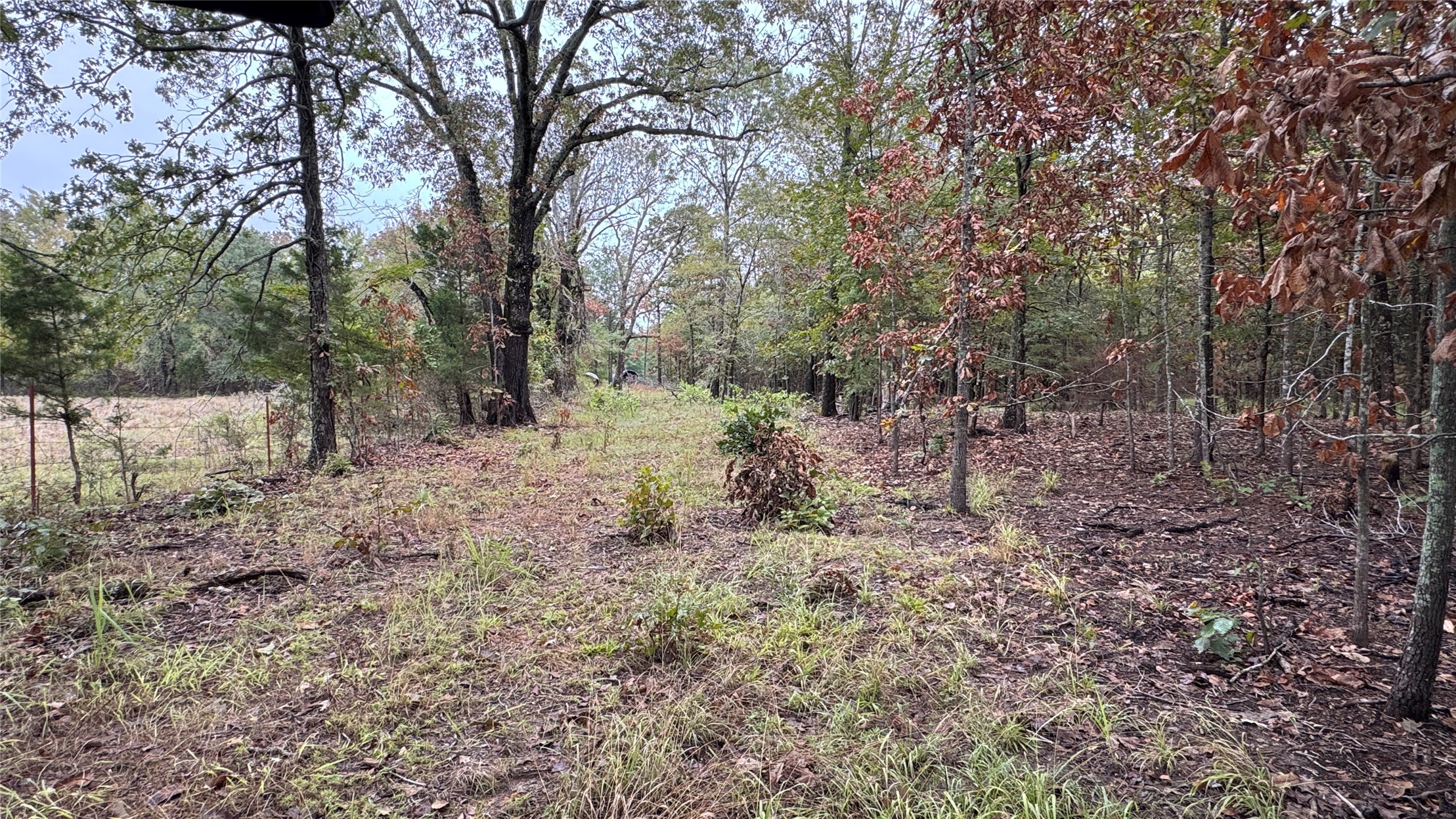 4210 Road Property Photo 50