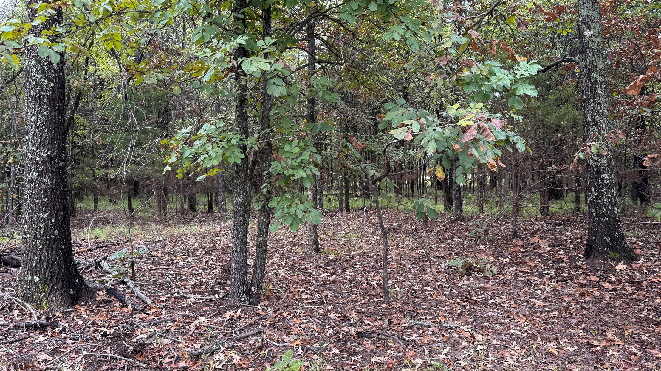 4210 Road Property Photo 51