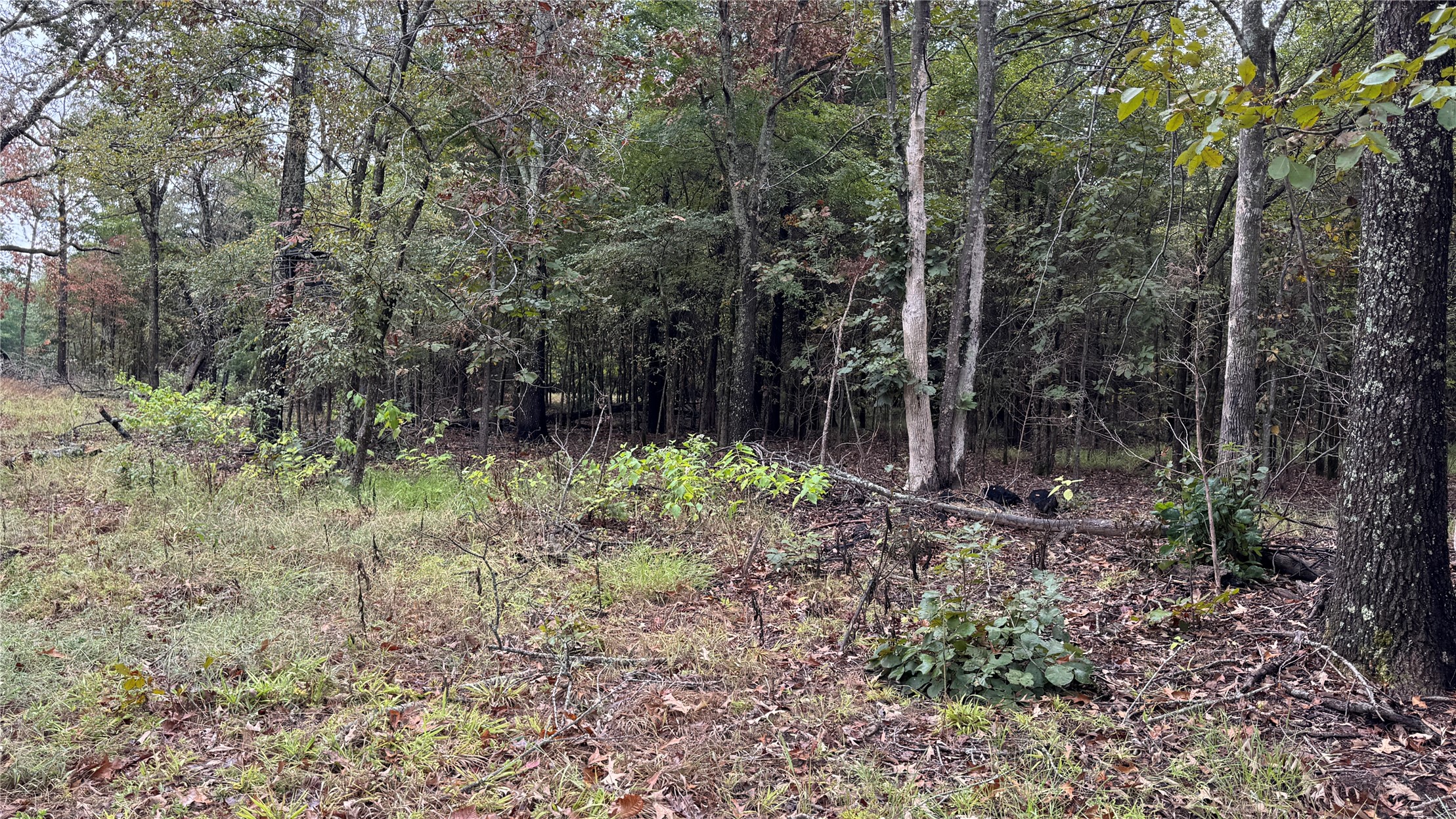 4210 Road Property Photo 52
