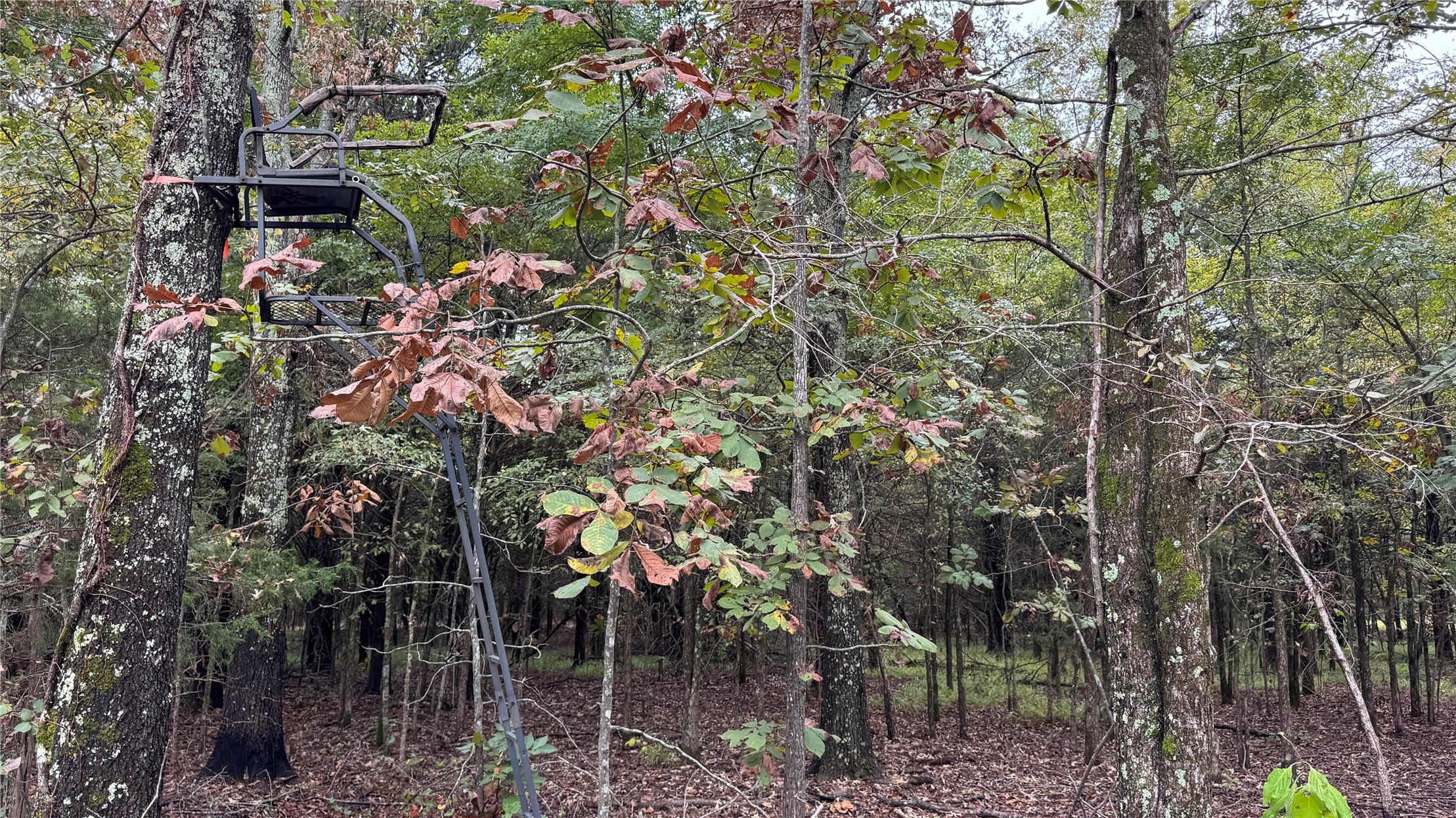 4210 Road Property Photo 53