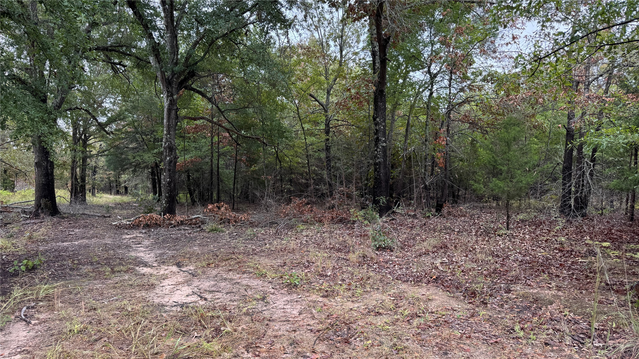 4210 Road Property Photo 54
