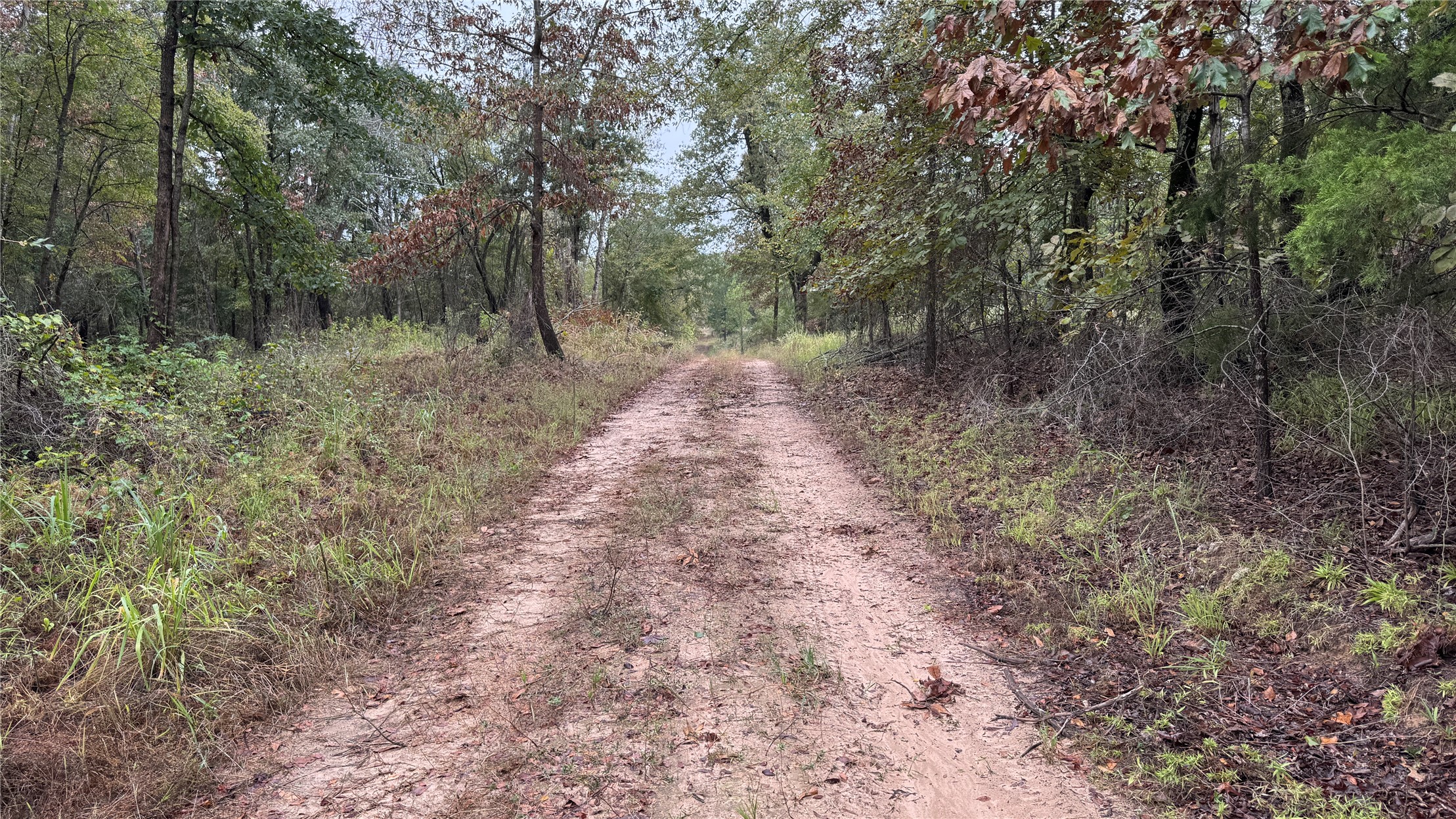 4210 Road Property Photo 55