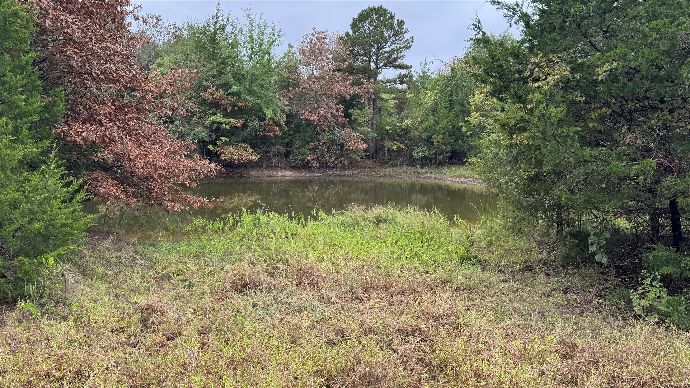 4210 Road Property Photo 57