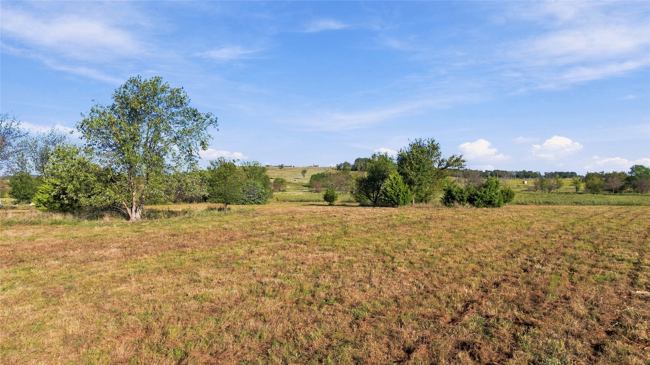 2636626 Property Photo 1