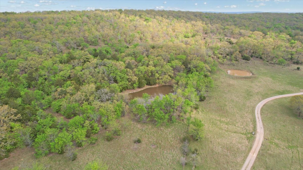 001 E Fred's Fish Camp Road Property Photo 2