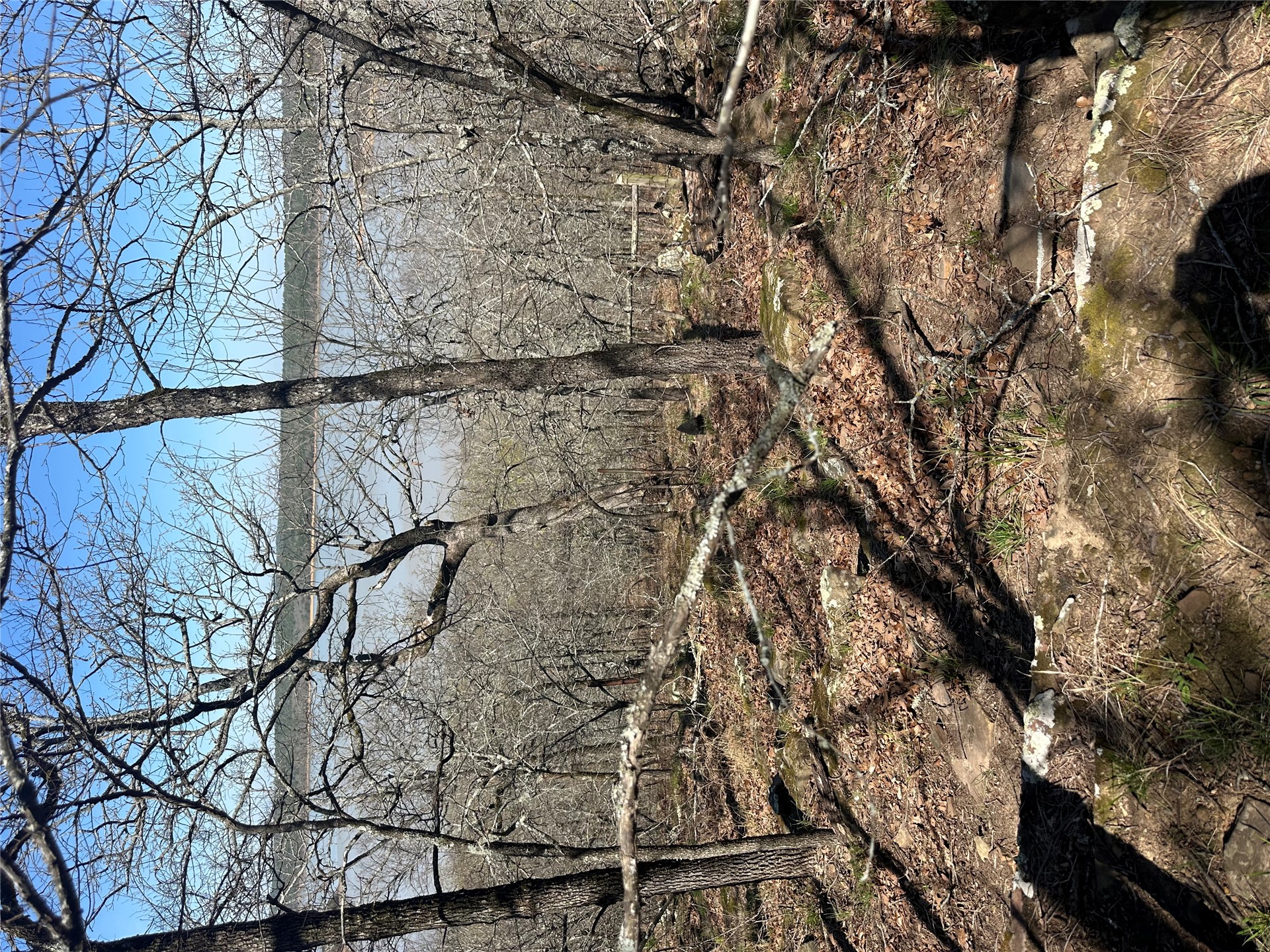 001 E Fred's Fish Camp Road Property Photo 4