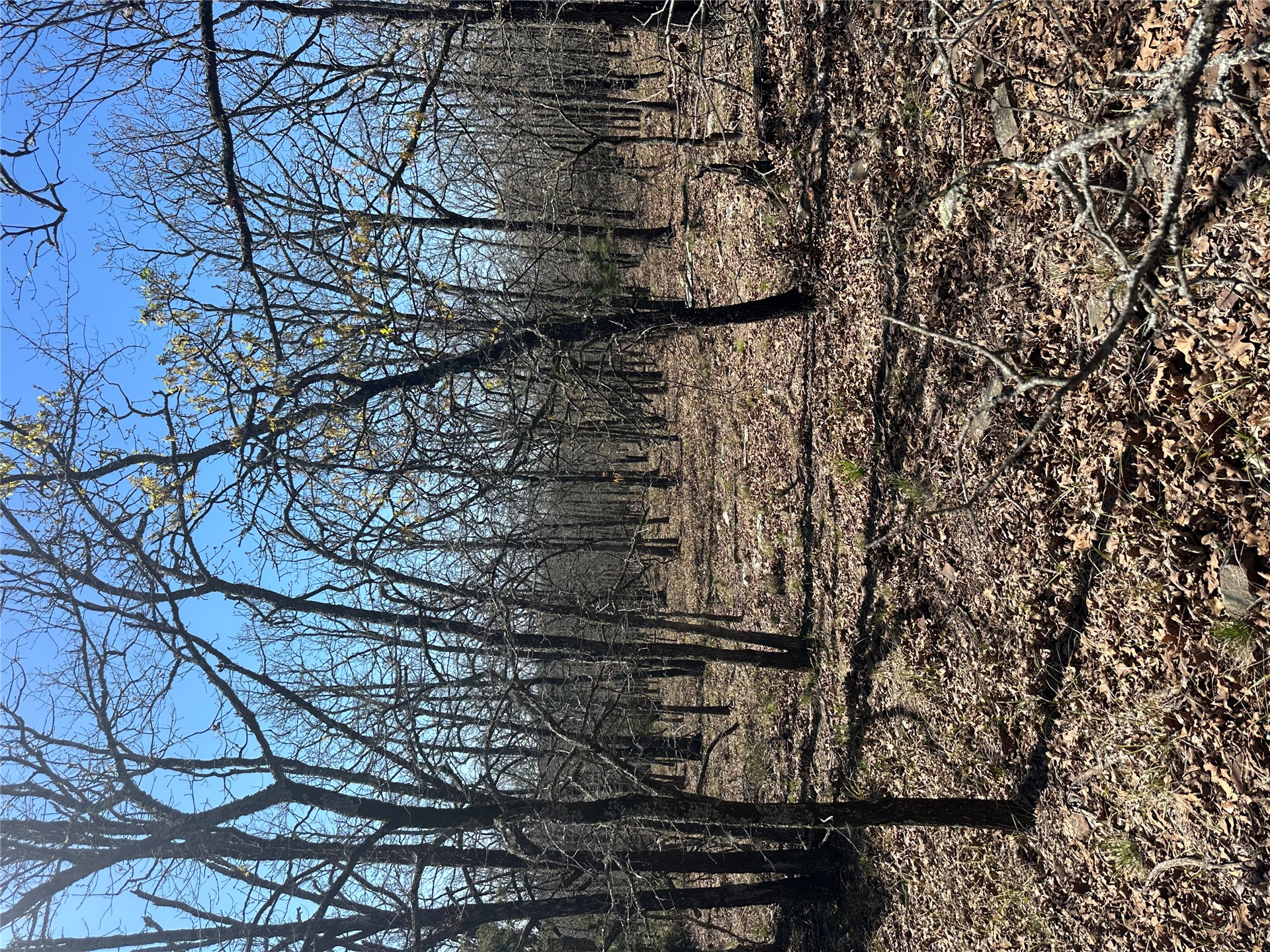 001 E Fred's Fish Camp Road Property Photo 6