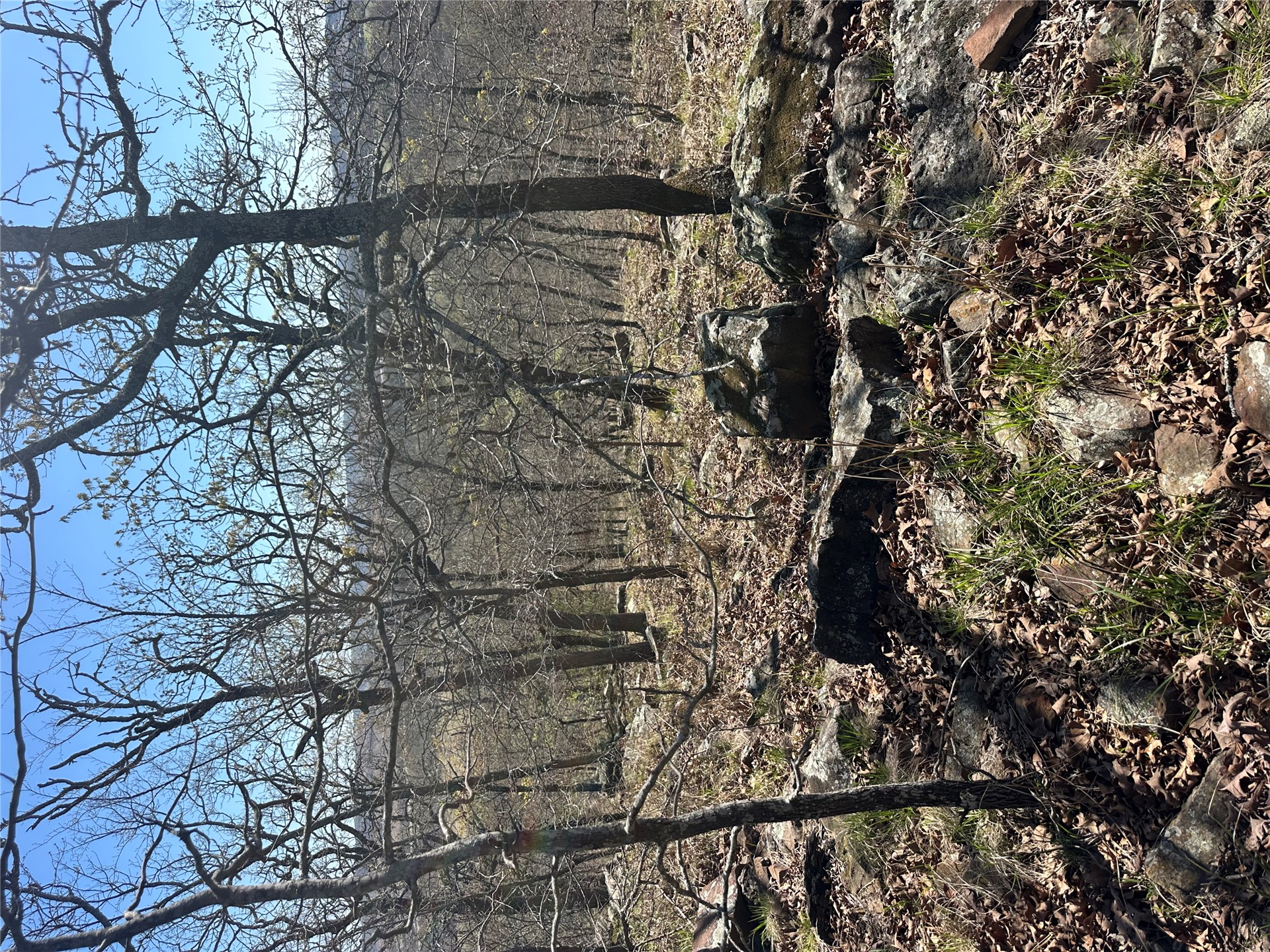 001 E Fred's Fish Camp Road Property Photo 9
