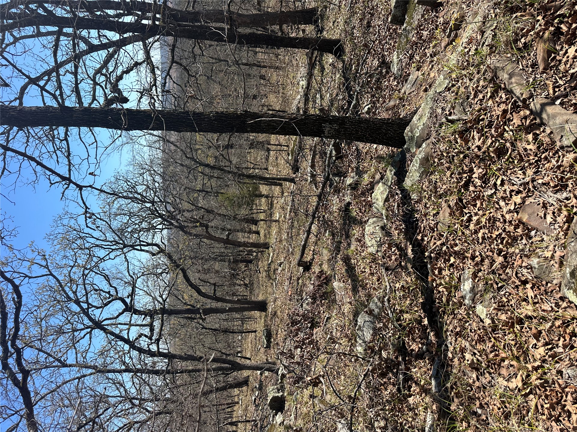 001 E Fred's Fish Camp Road Property Photo 10