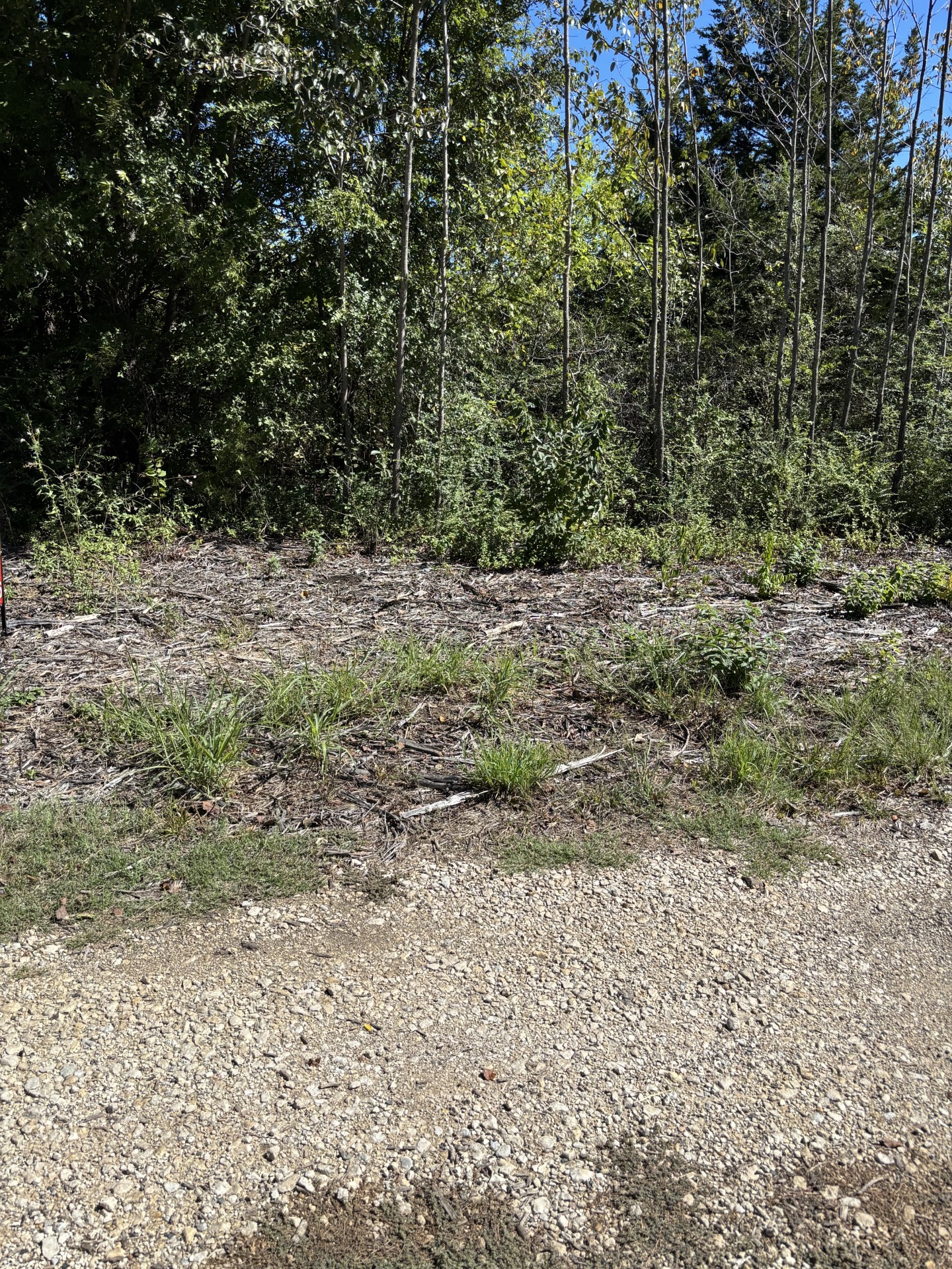 Susie Avenue Property Photo 1