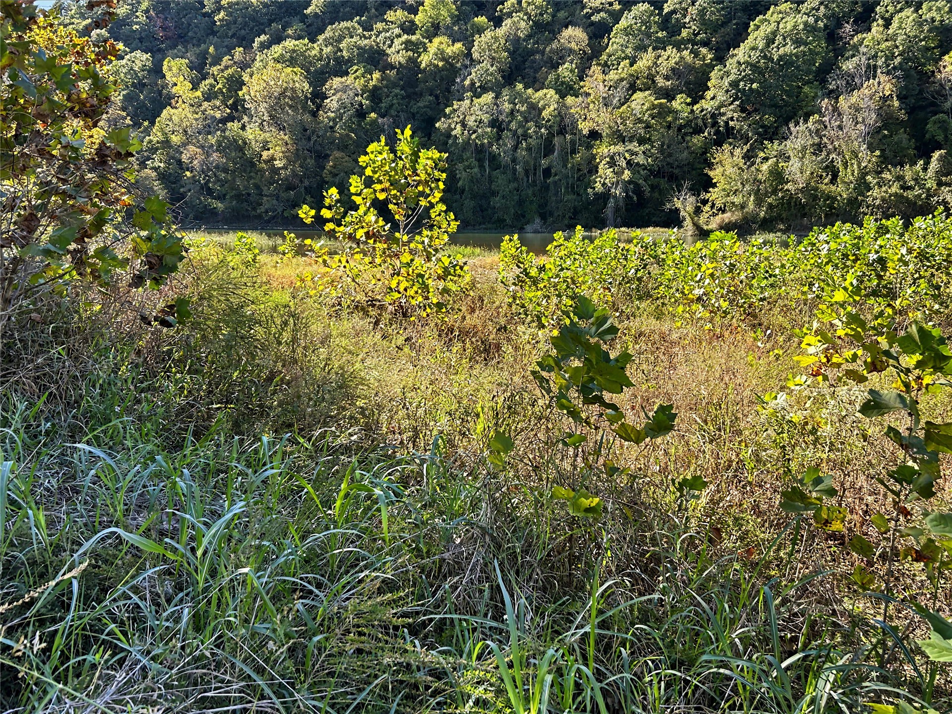 21057 E 760 Road Property Photo 4
