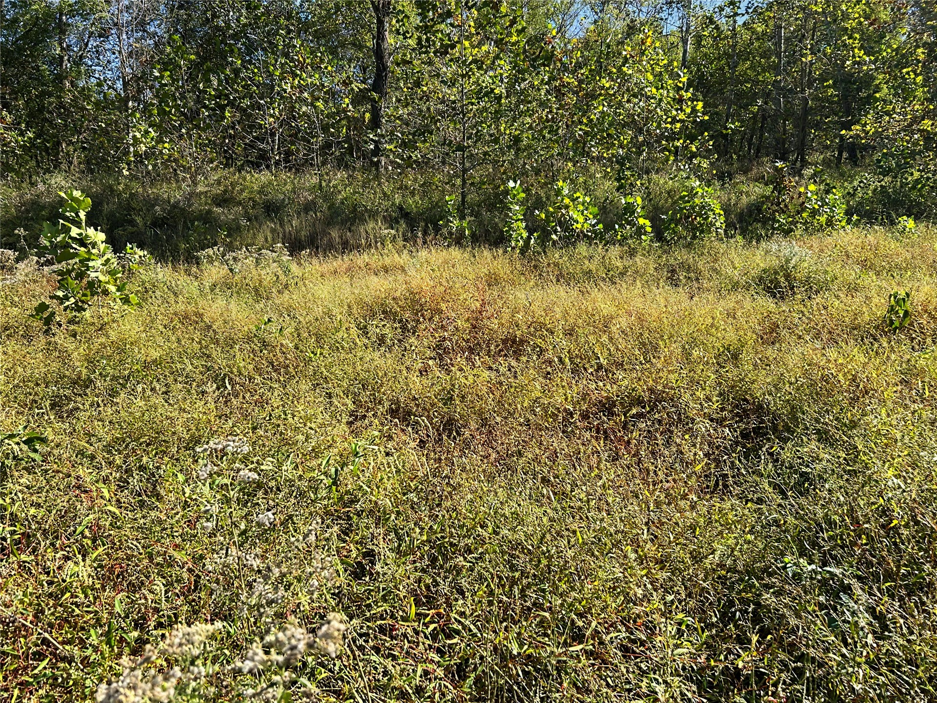 21057 E 760 Road Property Photo 8