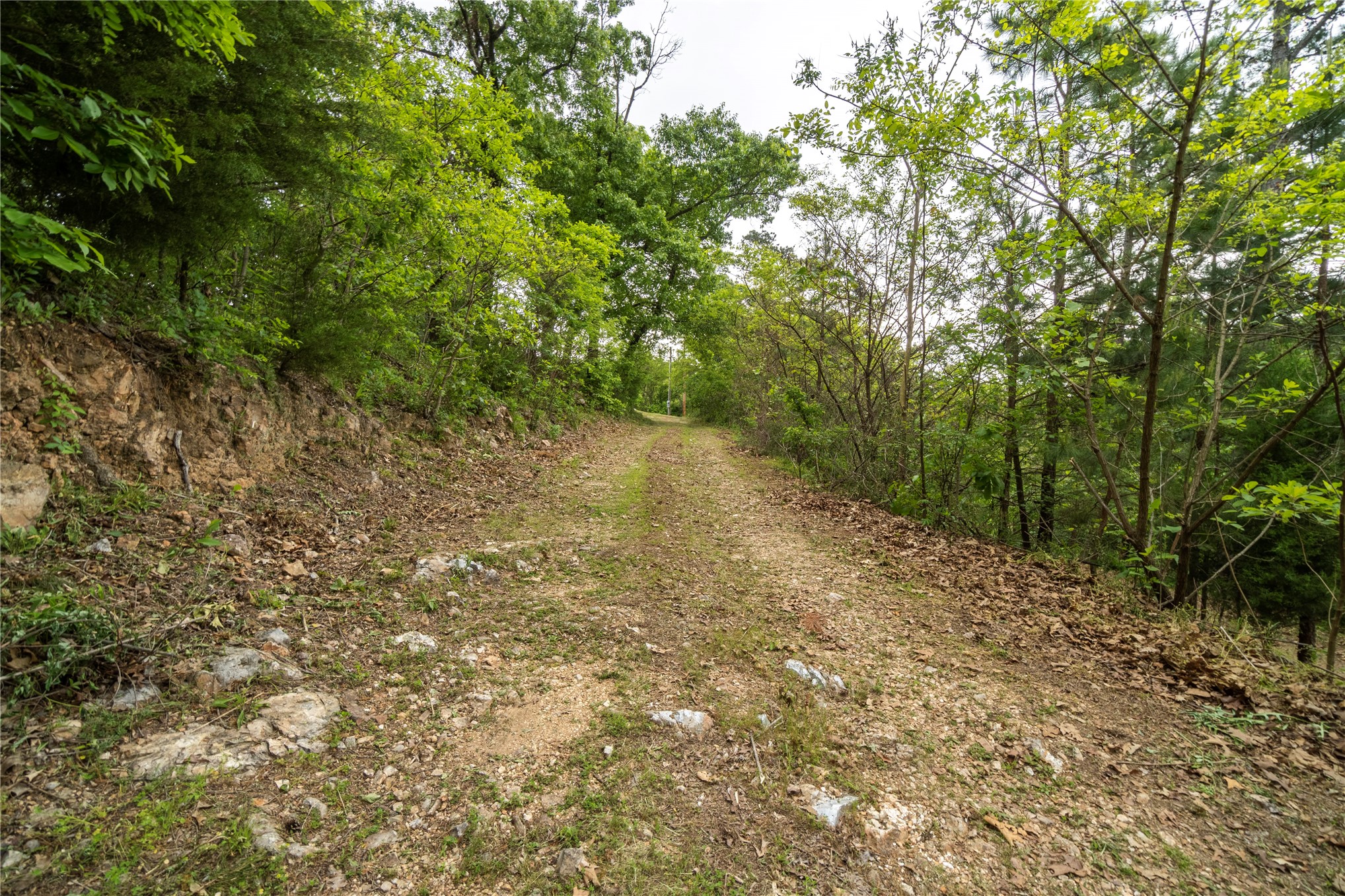 4664 S Hwy 82 Property Photo 20