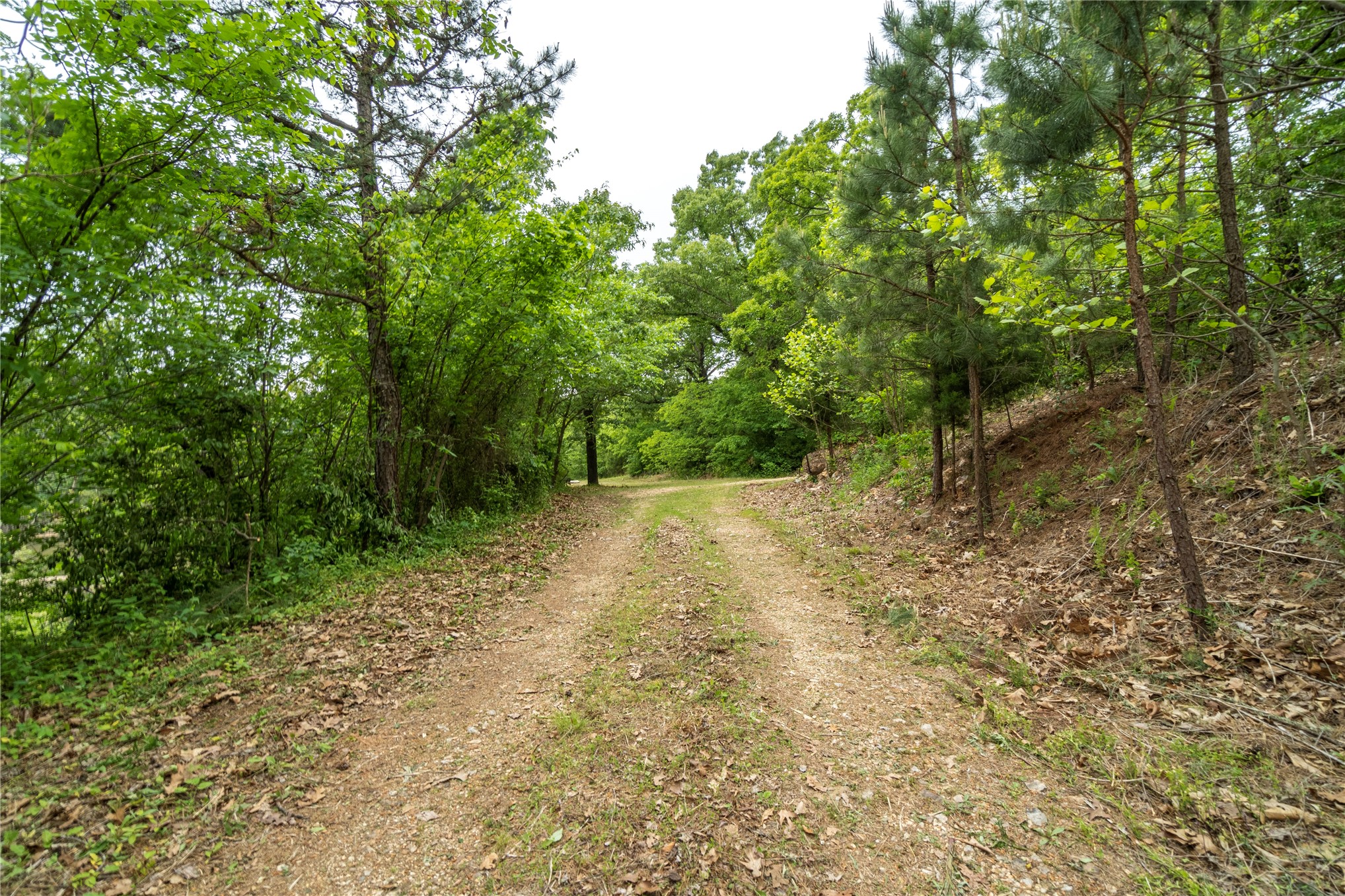 4664 S Hwy 82 Property Photo 24