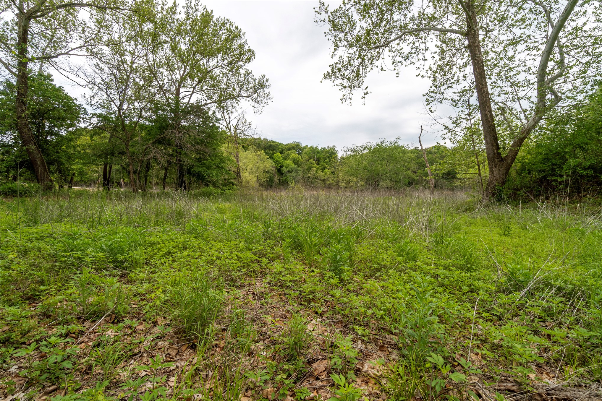 4664 S Hwy 82 Property Photo 34