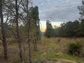 Norris Road Property Photo 6