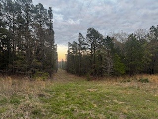 Norris Road Property Photo 12
