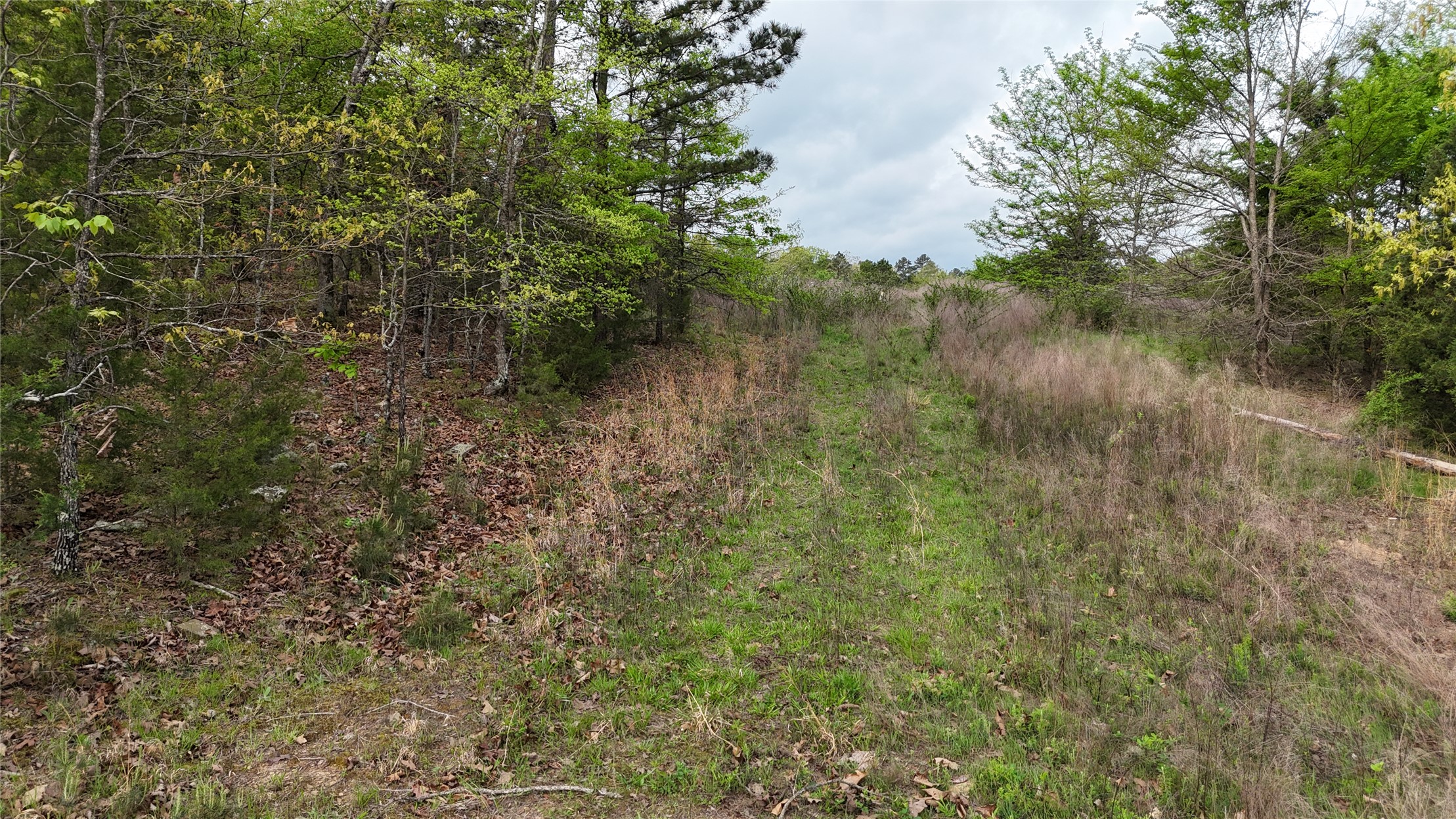 Norris Road Property Photo 15