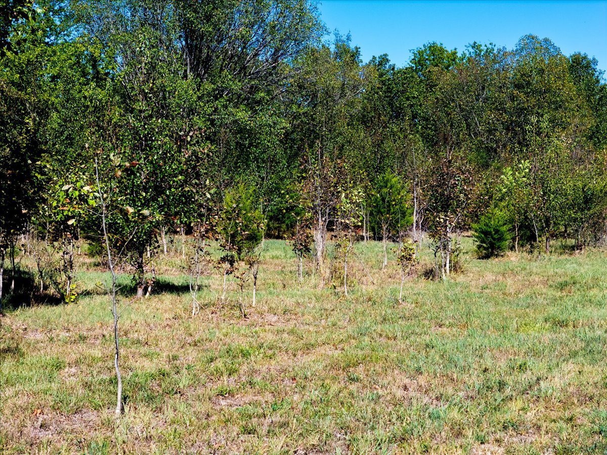 1 N 52 Avenue W Property Photo 19